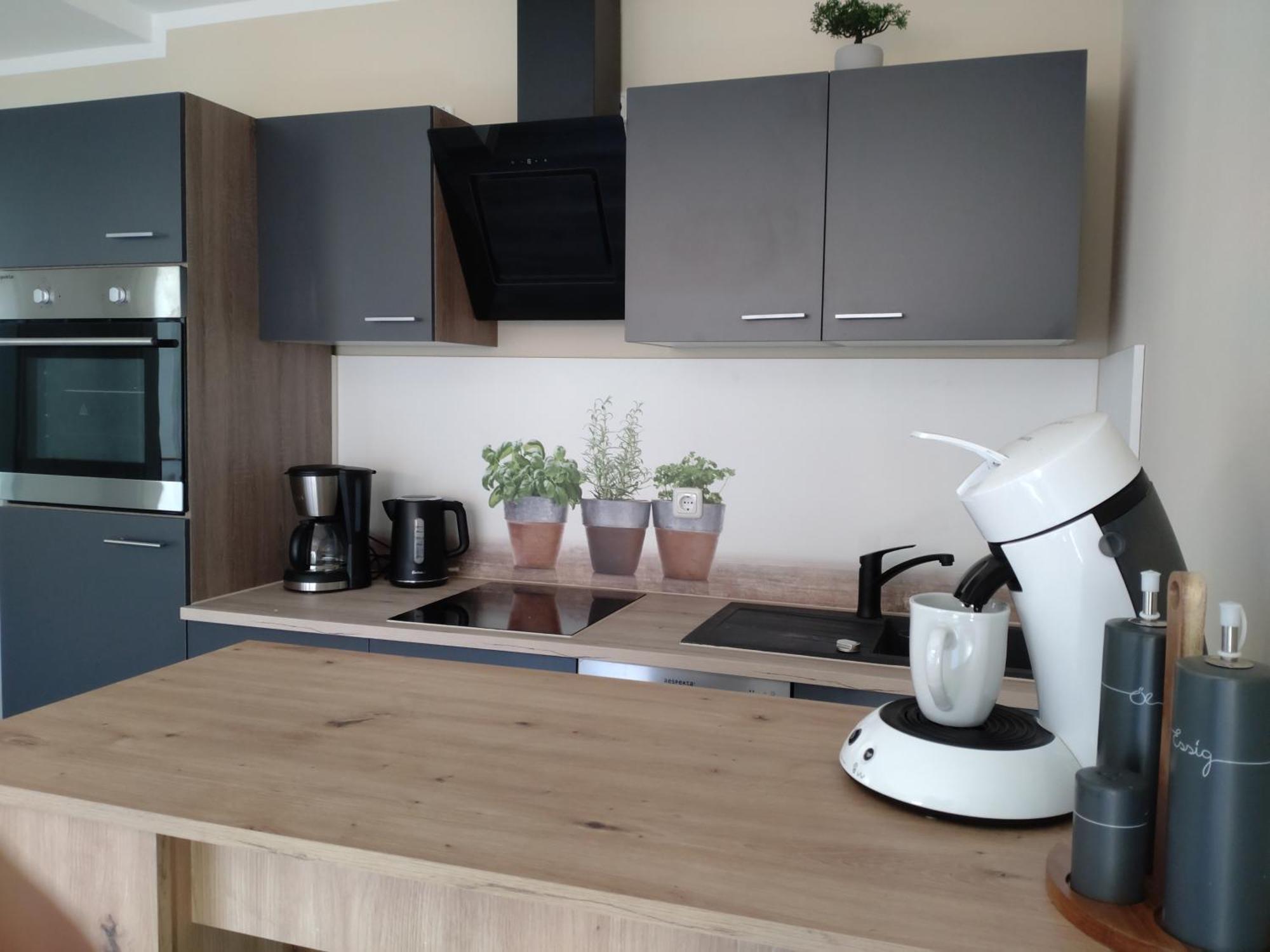 Alte Schlossgaertnerei Apartamento
